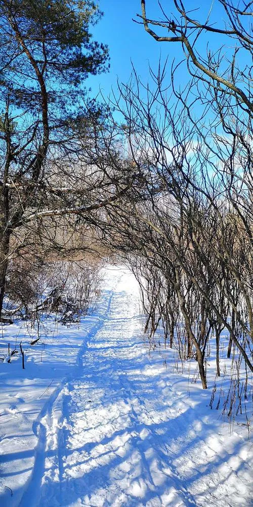 杏盛娱乐App视觉